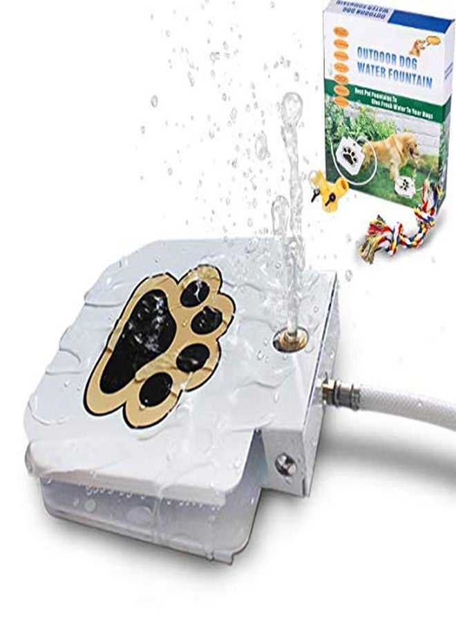 BACOENG Outdoor Dog Pet Water Sprinkler Easy Activated Dog Water Fountain Toy with Molar Rope, Upgrade Premier Valve Set (We Copper VS Others Plastic) - Image 1